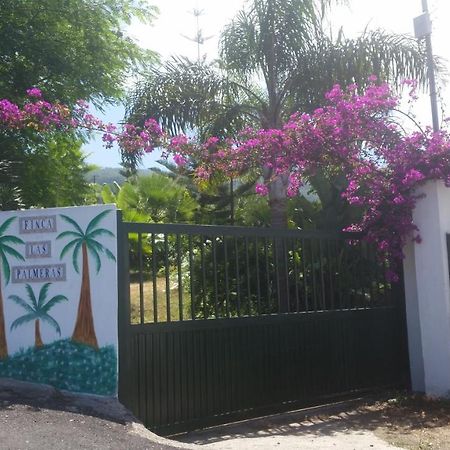 Finca Las Palmeras Икод-де-лос-Винос Экстерьер фото