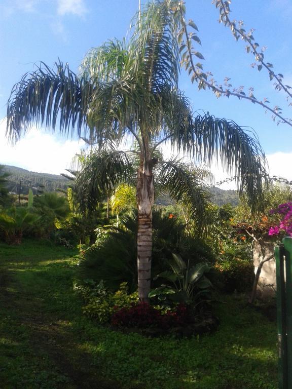 Finca Las Palmeras Икод-де-лос-Винос Номер фото