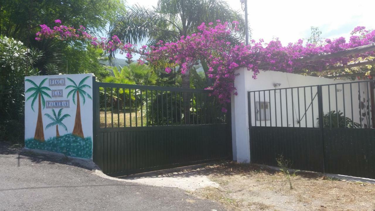 Finca Las Palmeras Икод-де-лос-Винос Экстерьер фото